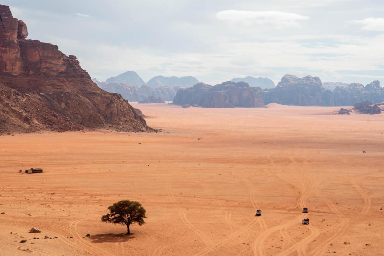 Wadi Rum Nights Экстерьер фото