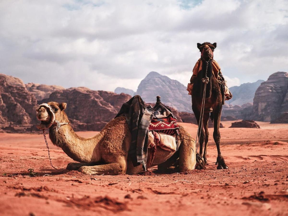 Wadi Rum Nights Экстерьер фото