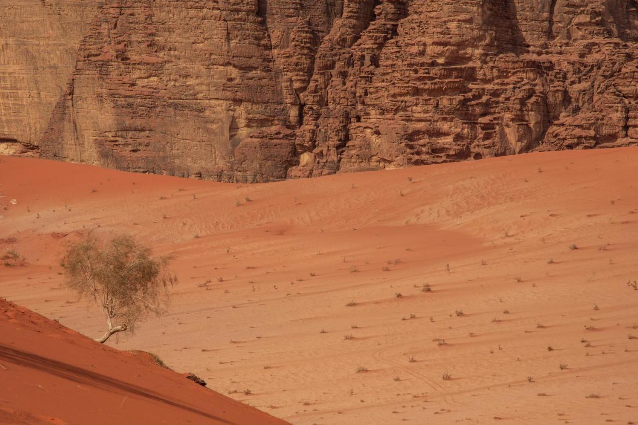 Wadi Rum Nights Экстерьер фото
